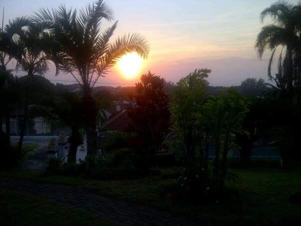 Chez Paddy Durban